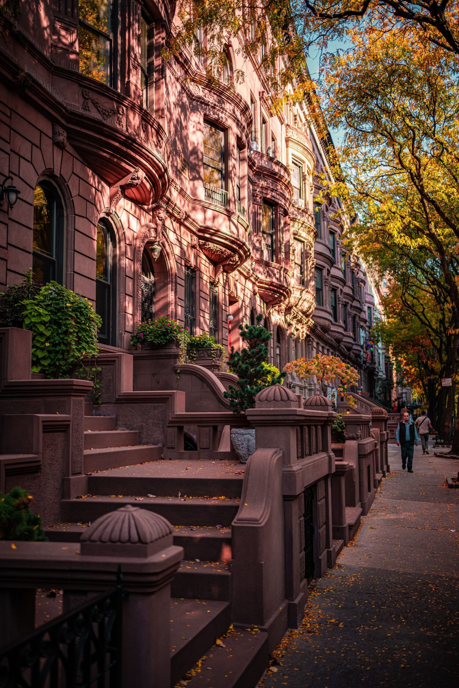 Local SEO Google Maps for NYC electrical contractors