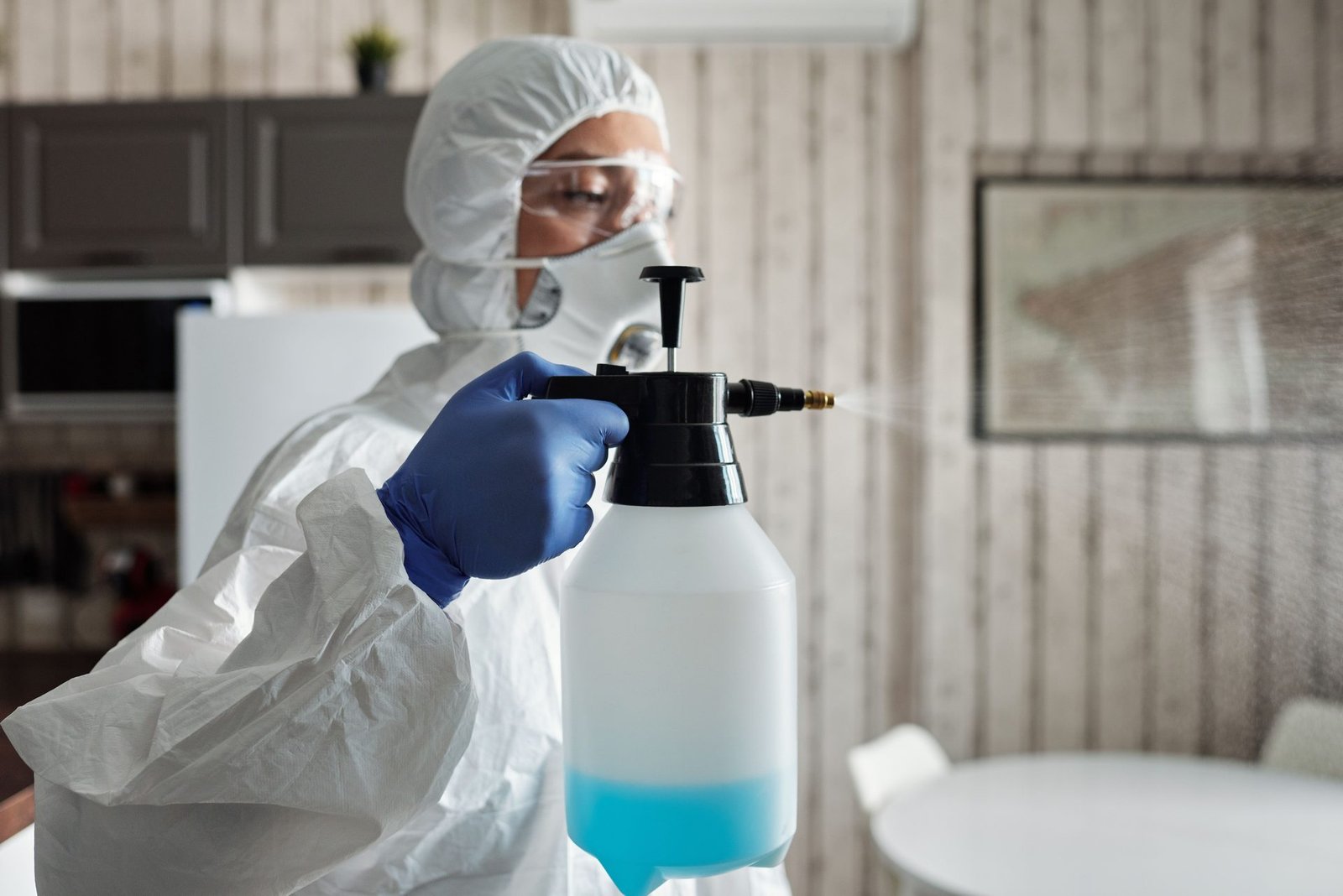 Pest control content strategy for NYC companies
